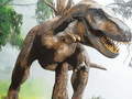 Trò chơi Puzzle Carnivore Khủng Long Tyrannosaurus Rex trực tuyến