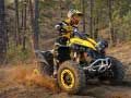 Trò chơi Câu đố ATV Offroad trực tuyến