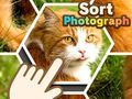 Trò chơi Sắp xếp ảnh trực tuyến