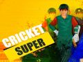 Trò chơi Super Cricket trực tuyến