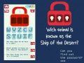 Trò chơi Bẻ khóa mật khẩu trực tuyến