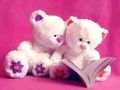 Trò chơi Cầu trượt Gấu bông Dễ thương trực tuyến
