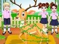 Trò chơi Bé Taylor Bác sĩ Động vật Hoang dã trực tuyến