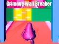 Trò chơi Grimage Wall Breaker trực tuyến