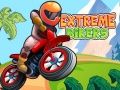 Trò chơi Rider Cực Đoan trực tuyến