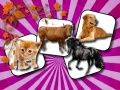 Trò chơi Thử thách ghi nhớ động vật nuôi trực tuyến