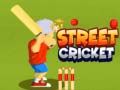 Trò chơi Cricket Đường Phố trực tuyến
