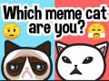 Trò chơi Bạn là chú mèo meme nào? trực tuyến