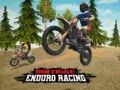 Trò chơi Đua Xe Địa Hình Enduro trực tuyến