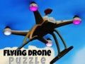Trò chơi Câu Đố Drone Bay trực tuyến