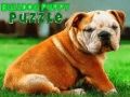 Trò chơi Puzzle Chó Con Bulldog trực tuyến