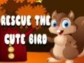 Trò chơi Cứu Con Chim Dễ Thương trực tuyến