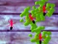 Trò chơi Nghiền Kiến trực tuyến
