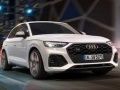 Trò chơi Audi SQ5 TDI Trượt trực tuyến
