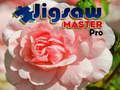 Trò chơi Bậc Thầy Ghép Hình Pro trực tuyến
