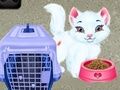 Trò chơi Chăm Sóc Thú Cưng Của Bé Taylor trực tuyến