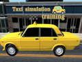 Trò chơi Đào tạo mô phỏng taxi trực tuyến