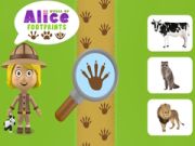 Trò chơi Thế giới dấu chân của Alice trực tuyến