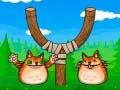 Trò chơi Bắn con mèo giận dữ trực tuyến Trò chơi Bắn con mèo giận dữ trực tuyến