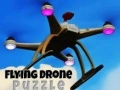 Trò chơi Câu Đố Drone Bay trực tuyến Trò chơi Câu Đố Drone Bay trực tuyến
