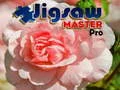 Trò chơi Bậc Thầy Ghép Hình Pro trực tuyến
