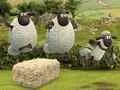 Trò chơi Shaun Cừu: Thể Thao Ngoài Hành Tinh trực tuyến Trò chơi Shaun Cừu: Thể Thao Ngoài Hành Tinh trực tuyến