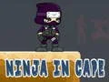 Trò chơi Ninja trong Áo choàng trực tuyến