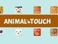 Trò chơi Động vật Toush trực tuyến