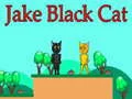 Trò chơi Jake Mèo Đen trực tuyến Trò chơi Jake Mèo Đen trực tuyến