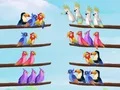 Trò chơi Câu đố phân loại chim trực tuyến Trò chơi Câu đố phân loại chim trực tuyến