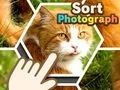 Trò chơi Sắp xếp ảnh trực tuyến Trò chơi Sắp xếp ảnh trực tuyến