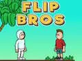 Trò chơi Anh Em Flip trực tuyến Trò chơi Anh Em Flip trực tuyến