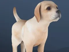 Trò chơi Thú cưng nhàn rỗi trực tuyến