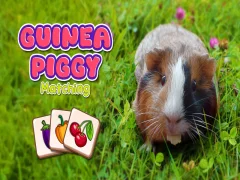 Trò chơi Guinea Piggy phù hợp trực tuyến