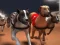 Trò chơi Đua chó Greyhound trực tuyến
