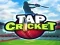 Trò chơi Bóng Cricket Tap trực tuyến