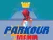 Trò chơi Cơn sốt Parkour trực tuyến