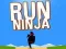 Trò chơi Chạy Ninja trực tuyến
