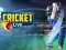 Trò chơi Cricket Trực Tiếp trực tuyến