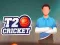 Trò chơi Cricket T20 trực tuyến