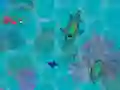 Trò chơi Sharkz.io trực tuyến