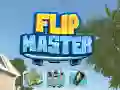 Trò chơi Bậc thầy Flip trực tuyến Trò chơi Bậc thầy Flip trực tuyến