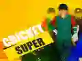 Trò chơi Super Cricket trực tuyến Trò chơi Super Cricket trực tuyến