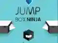 Trò chơi Ninja Hộp Nhảy trực tuyến Trò chơi Ninja Hộp Nhảy trực tuyến