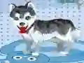 Trò chơi Chó dễ thương của tôi tắm trực tuyến Trò chơi Chó dễ thương của tôi tắm trực tuyến
