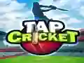 Trò chơi Bóng Cricket Tap trực tuyến