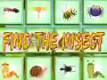Trò chơi Tìm Insect trực tuyến