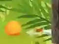 Trò chơi Kẻ Chém Nhiệt Đới trực tuyến