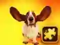 Trò chơi Puzzle Chó Vui Nhộn trực tuyến Trò chơi Puzzle Chó Vui Nhộn trực tuyến