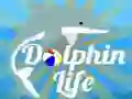 Trò chơi Cuộc sống của Cá heo trực tuyến